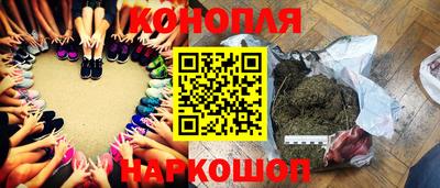 СК Лесосибирск