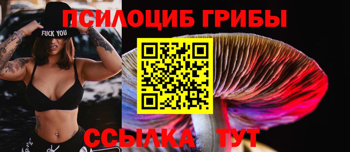 Гай  Галлюциногенные грибы Cubensis  Вход с VPN  Псилоцибиновые грибы Magic Shrooms 