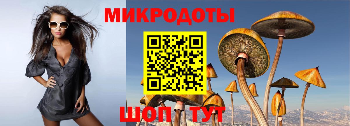 Галлюциногенные грибы Cubensis  Гай 